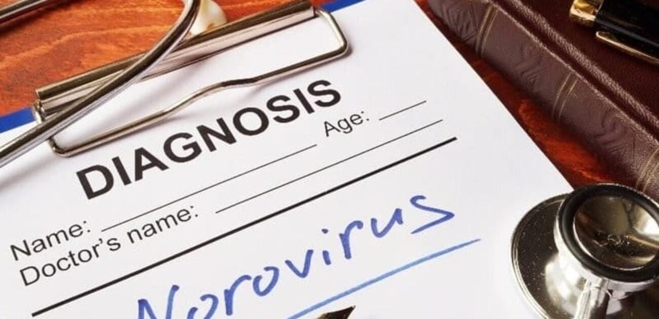 Notfallplan Norovirus
