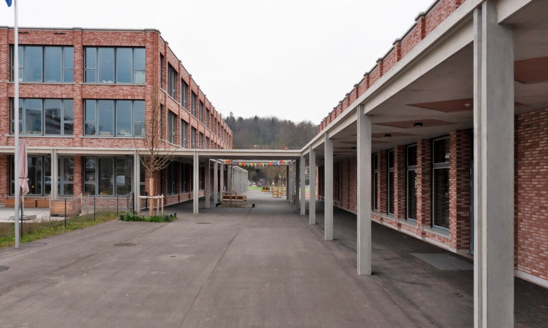 Reinach Surbaum 113